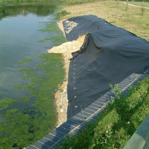 Bank Erosion at Mill Lane