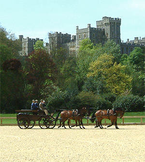 the castle in the background