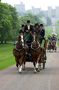 Carriages in Long Walk