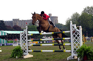 Show Jumping