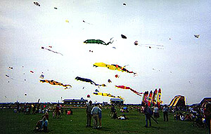 Kites Flying High!
