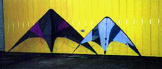 Karen's Kites