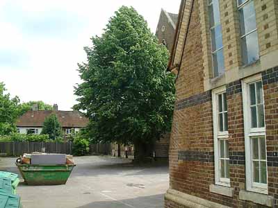 The Play Ground from Arthur Road