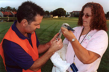 Dr. Christopher W. Brown takes a blood sample 