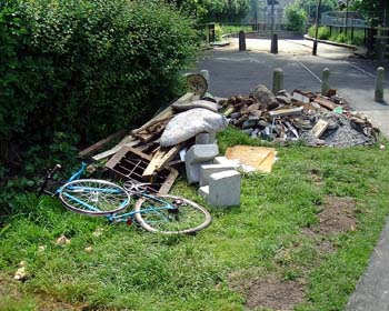 Bike and rubbish