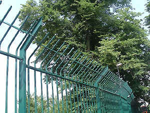 Reinforced fencing 1