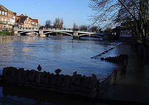 Windsor Bridge from upstream