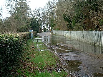 Windsor Racecourse Approach