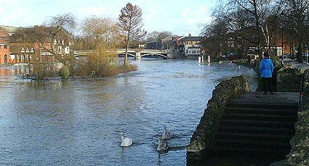 Windsor Bridge looking downstream