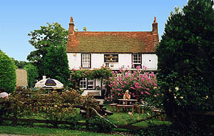 Fox and Hounds