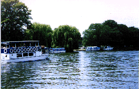 River View with Pleasure Launches