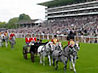 Ascot