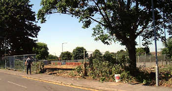 Cleared Scout Hut Land