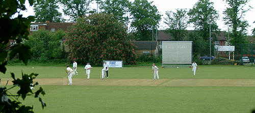 WBS MCC Cricket 11072007