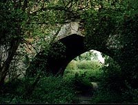 The Thames Path beneath the Albert Bridge