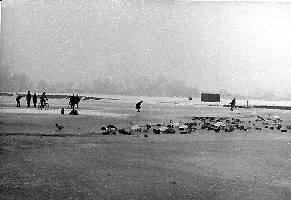 Thames Frozen - 2