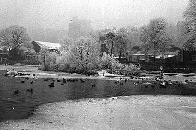 Icey river, from the Brocas