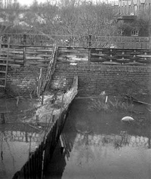 Flooded back
                      gardens